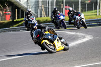 Advanced Group Yellow Bikes